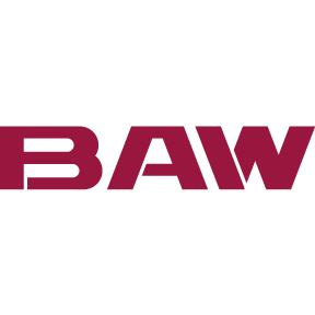 Buy a car from BAW brand